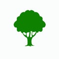 Big tree eco logo icon vector illustration Royalty Free Stock Photo