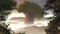 Big tree in fog Royalty Free Stock Photo