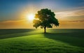Big tree in green grass hill under evening light, AI generative Royalty Free Stock Photo