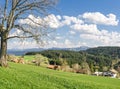 Big tree on green hill, blue sky, clouds and mountains Royalty Free Stock Photo