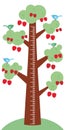 Big tree with green leaves birds and Ripe red cherries on white background Children height meter wall sticker, kids measure. Royalty Free Stock Photo