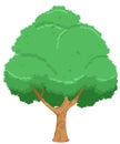 Big tree with green leaves. Cartoon tree nature Royalty Free Stock Photo