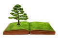 The big tree growth from a book Royalty Free Stock Photo