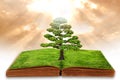 The big tree growth from a book