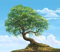A big tree on hill Royalty Free Stock Photo