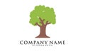 Big tree illustration vector logo Royalty Free Stock Photo