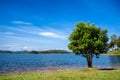 The big tree is beside the lake, background is mountain on sunny day Royalty Free Stock Photo