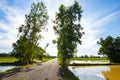 Big tree in little field near the road and blue sky with cloud. Royalty Free Stock Photo