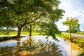 Big tree in little field near water and blue sky with cloud