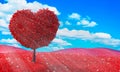 Big tree in the middle of the meadow. Heart shape in Valentine`s Day concept. Romantic. Intricate low mountain meadows. The grass Royalty Free Stock Photo