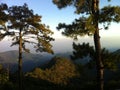 Big tree mountains landscape view in Thailand Royalty Free Stock Photo