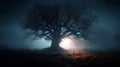 Big tree Mysterious pathway. Footpath in the dark, foggy, autumnal, mysterious forest