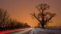 Big tree near road with orange sky in bacground and car light Royalty Free Stock Photo