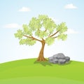 Big Tree and Rocks in a Hill. Royalty Free Stock Photo