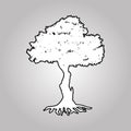 Big tree silhouettes Royalty Free Stock Photo