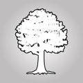 Big tree silhouettes Royalty Free Stock Photo