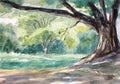 Big tree water color painting