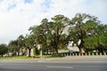 Big trees in front of Florida State Capitol
