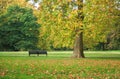 Autumn Trees in cornor of Kensington park in London