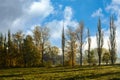 Big trees line up in autumn and blue sky. And there is a house hiding behind the tree Royalty Free Stock Photo