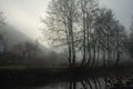 Big trees near the town in a terrific and foogy day. Royalty Free Stock Photo