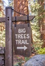 Big trees trail sign in Sequoia National Park Royalty Free Stock Photo