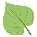 Big tropical leaf icon, cartoon style Royalty Free Stock Photo