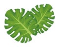 Big tropical leaf icon cartoon Royalty Free Stock Photo