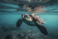 Big tropical turtle swims in blue sea. Turtle in natural environment