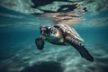 Big tropical turtle swims in blue sea. Turtle in natural environment