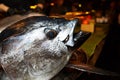 Big tuna in a restaurant, tuna head, tuna on the table, tuna, before preparing dishes, tuna in a plate, assorted, sushi with tuna Royalty Free Stock Photo