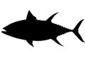 Big tuna. Vector image