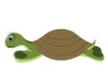 Big turtle Royalty Free Stock Photo