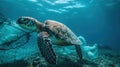 Big turtle swimming in the ocean with fishnet and plastic trash around