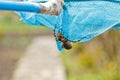 A big ugly jumping spider tarantula is sitting on a net. adult hairy wolf spider crawling close up macro Royalty Free Stock Photo