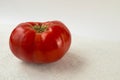 Big ugly tomato on a white background