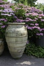 Big vases with hydrangea hortensia background Royalty Free Stock Photo