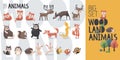 Big vector cartoon collection of wild woodland forest animals: bear, fox, deer, reindeer, elk, squirrel, hedgehog, hare