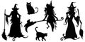 Big vector set with black silhouettes of witches and cats