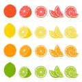 Big vector set of citrus fruits.Orange,lemon,grapefruit, and lime icons on white background Royalty Free Stock Photo