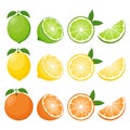 Big vector set of citrus fruits.Orange,lemon and lime icons on white background.Vector illustration Royalty Free Stock Photo