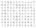 Big vector set, Outline web icon set - pet, vet, pet shop, types of pets Royalty Free Stock Photo