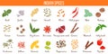 Big vector set of popular culinary spices silhouettes. Ginger, chili pepper, garlic, nutmeg, anise etc.