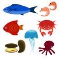 Big vector set of sea creatures