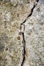 Big vertical crack on old gray wall with moss, abstract image of cleft, background texture. Close-up. Copy space. Royalty Free Stock Photo