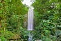 Big Vertical Waterfall in the Rain Forest Royalty Free Stock Photo