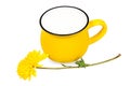 Big vivid yellow cup of milk and beautiful chrysanthemum flower isolated on white background.