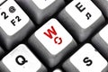 big W in red, letter W, W button keyboard. Keyboard keys in macro Royalty Free Stock Photo