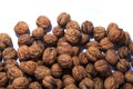 big wallnuts isolated Royalty Free Stock Photo