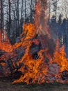 big walpurgis night fire in Sweden Royalty Free Stock Photo